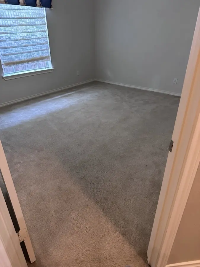 Before: Dull, matted carpet brought back